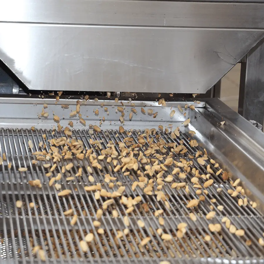 splitted peanuts come out from blanching machine