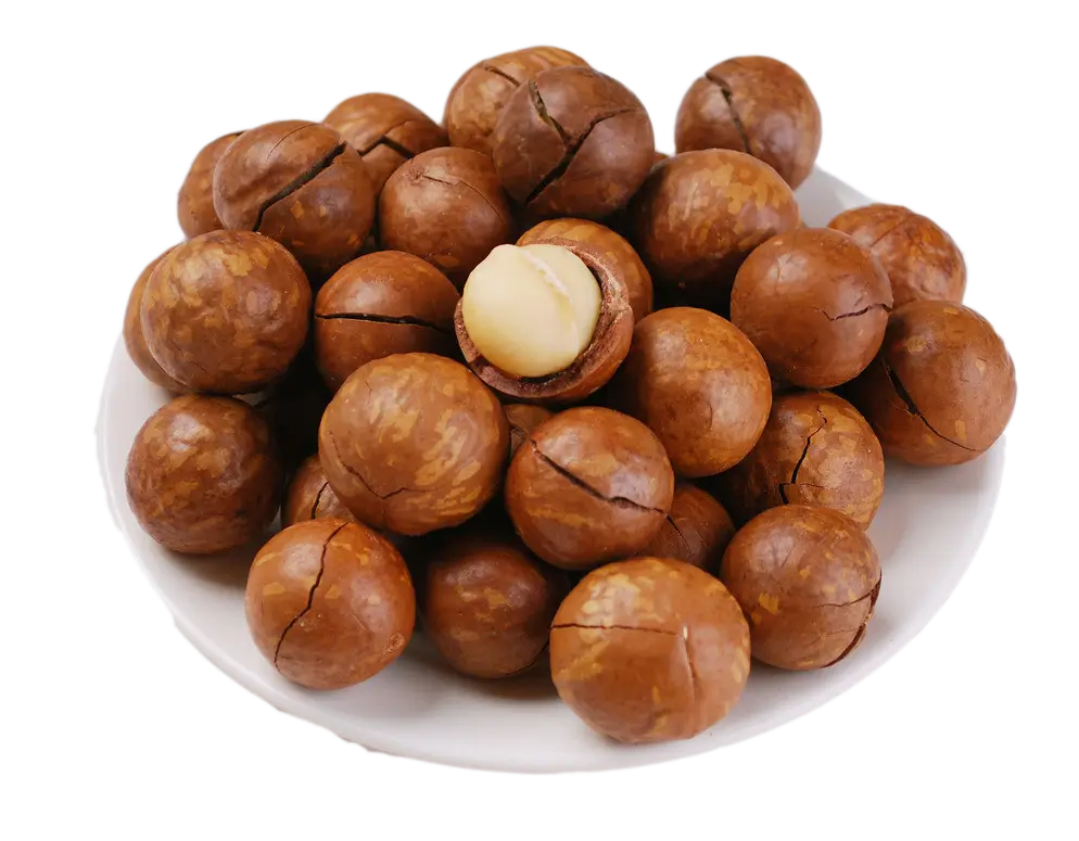 Macadamia Nut