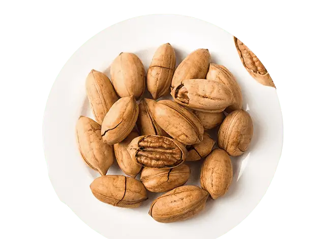 pecan