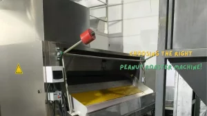 choose a right peanut roaster machine